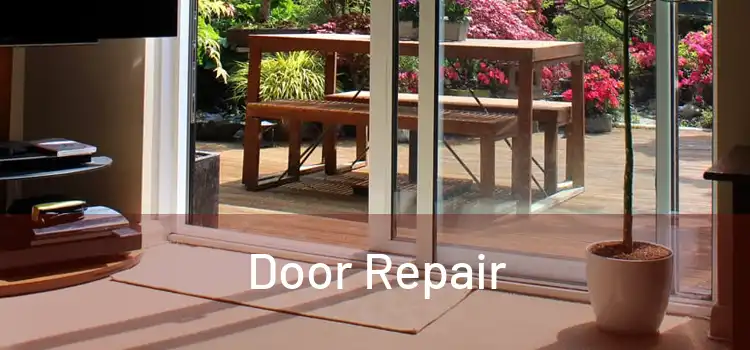 Door Repair