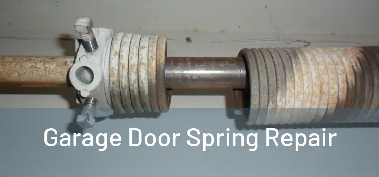 Garage Door Spring Repair 