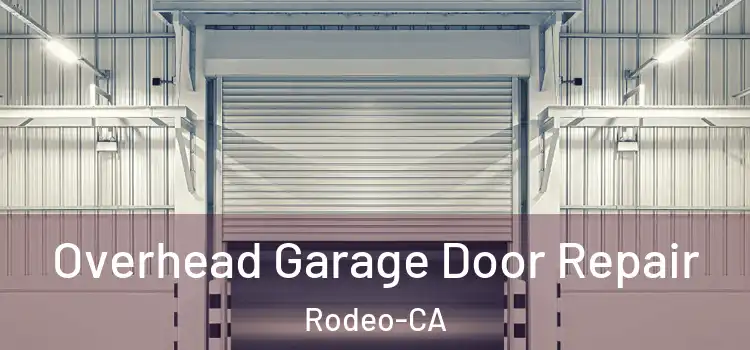 Overhead Garage Door Repair Rodeo-CA